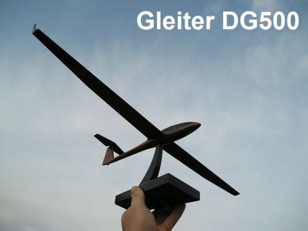 Gleiter DG 500