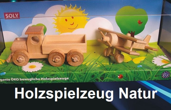 Holzspielzeug Natur Flugzeug Geschenke