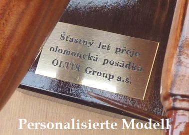 Personalisierte Flugzeuge Modell