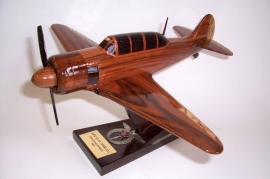Modellflugzeuge Jakowlew Jak-11