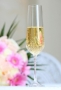 sektglas-champagnerglas swarowski