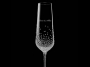 Champagnerglas 2 Stk mit Swarovski-Kristallen