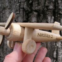 Holzflugzeug Hochdecker Spielzeug für Kinder