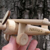 Holzflugzeug Hochdecker Geschenk