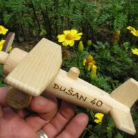 Holzflugzeug Spielzeug für Kinder