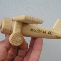 Holzflugzeug Hochdecker