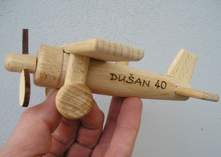 Holzflugzeug Hochdecker