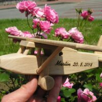 Holz-Geschenkflugzeug Modell auf Holzständer Pilatus für Piloten