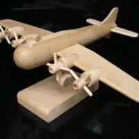 Flugzeugmodelle zum Geburtstag für Piloten