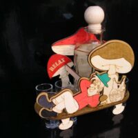 Geschenk für Pilzsammler Flaschen Geburtstag