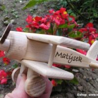 Kleines Holzflugzeug für junge Piloten