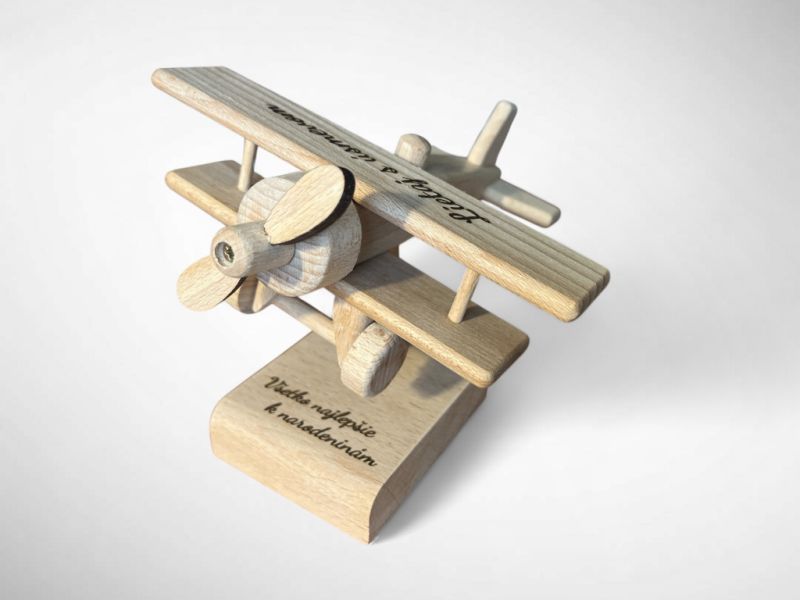 Flugzeug Geschenk Modell