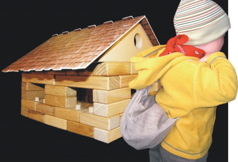 Holzgarage mit Auto Bausatz
