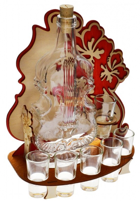 Flasche Motiv Geige Viola und Schnapsgläser Geschenk für Weinliebhaber