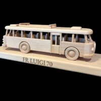 Geburtstags-bus für Busfahrer mit Namens Personalisierung